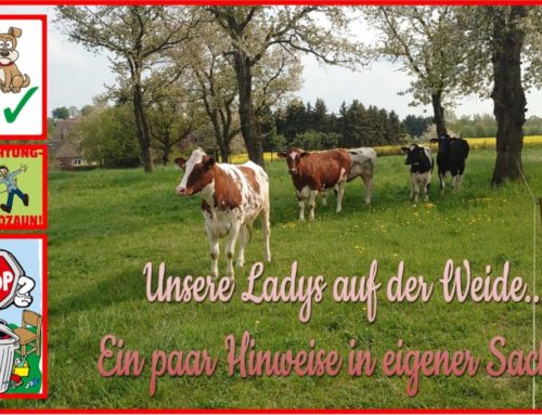 Unsere Ladys auf der Weide… ein paar Hinweise in eigener Sache…
