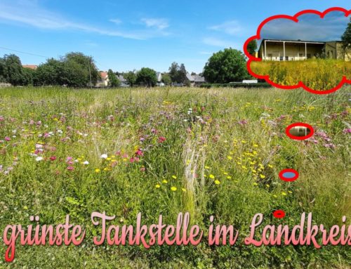 Alles bunt…an unserer Tankstelle…