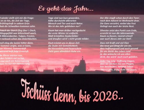 Wo ist das Jahr bloß geblieben…