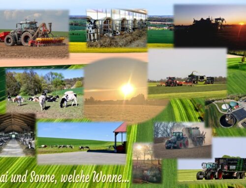 Mai und Sonne, welche Wonne…